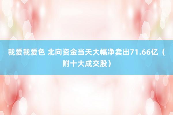 我爱我爱色 北向资金当天大幅净卖出71.66亿（附十大成交股）