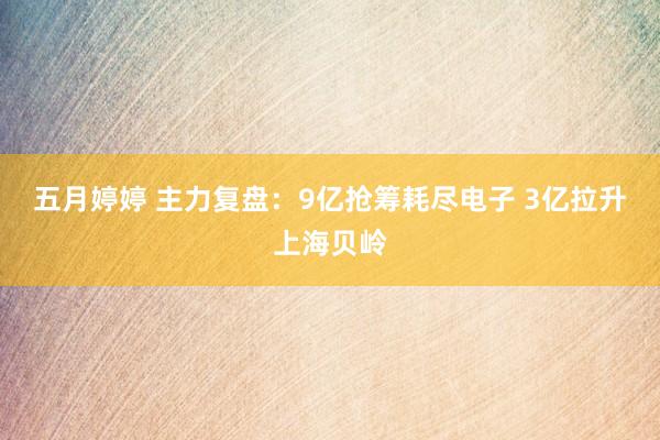 五月婷婷 主力复盘：9亿抢筹耗尽电子 3亿拉升上海贝岭