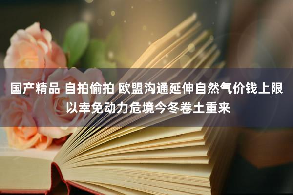 国产精品 自拍偷拍 欧盟沟通延伸自然气价钱上限 以幸免动力危境今冬卷土重来