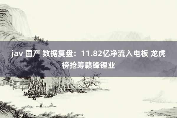 jav 国产 数据复盘：11.82亿净流入电板 龙虎榜抢筹赣锋锂业
