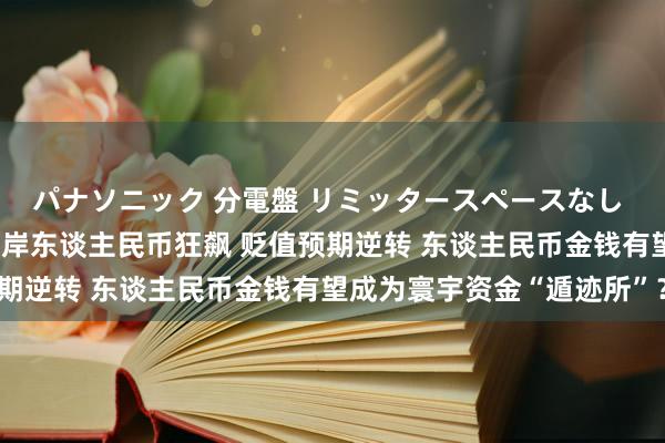 パナソニック 分電盤 リミッタースペースなし 露出・半埋込両用形 离岸东谈主民币狂飙 贬值预期逆转 东谈主民币金钱有望成为寰宇资金“遁迹所”？