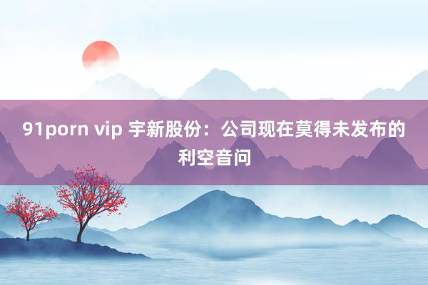 91porn vip 宇新股份：公司现在莫得未发布的利空音问