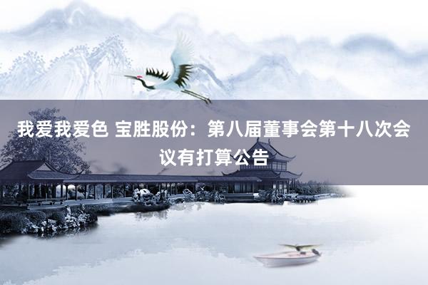 我爱我爱色 宝胜股份：第八届董事会第十八次会议有打算公告