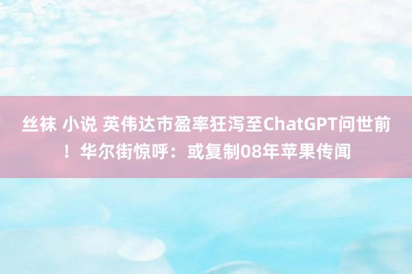 丝袜 小说 英伟达市盈率狂泻至ChatGPT问世前！华尔街惊呼：或复制08年苹果传闻